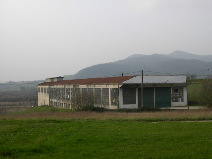 aves urdaibai