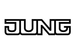 Jung electrico